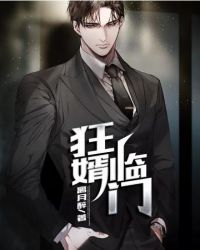 狂婿的小说